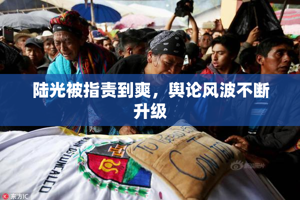陆光被指责到爽，舆论风波不断升级