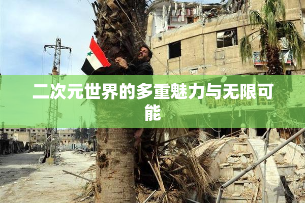 二次元世界的多重魅力与无限可能