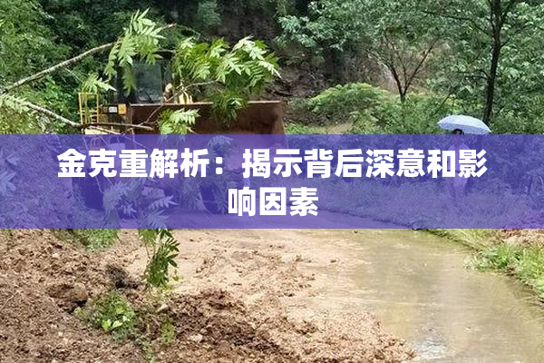 金克重解析：揭示背后深意和影响因素