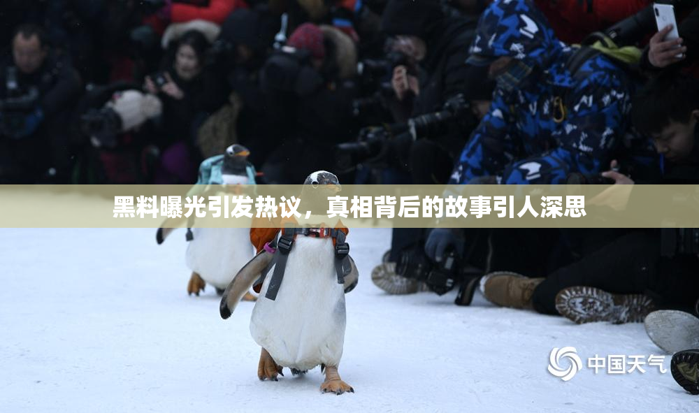 黑料曝光引发热议，真相背后的故事引人深思