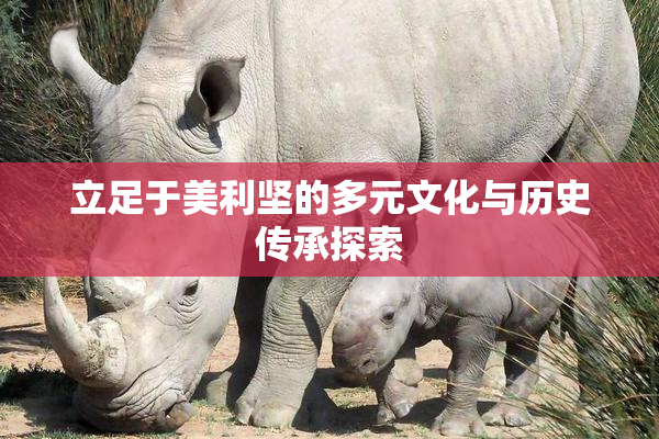 立足于美利坚的多元文化与历史传承探索