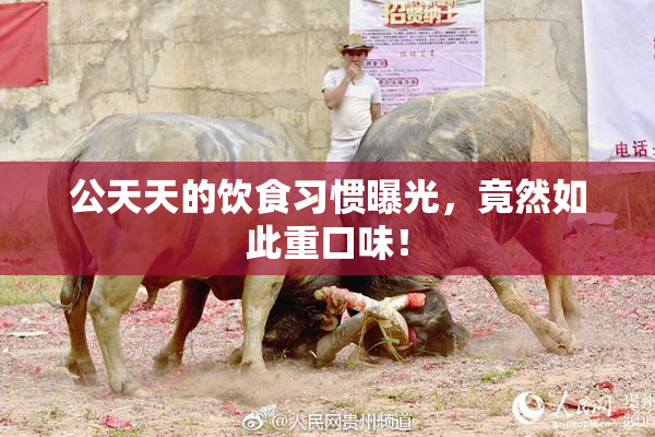公天天的饮食习惯曝光，竟然如此重口味！