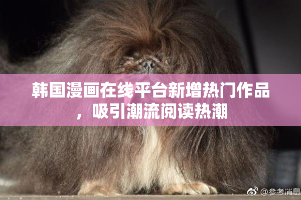 韩国漫画在线平台新增热门作品，吸引潮流阅读热潮