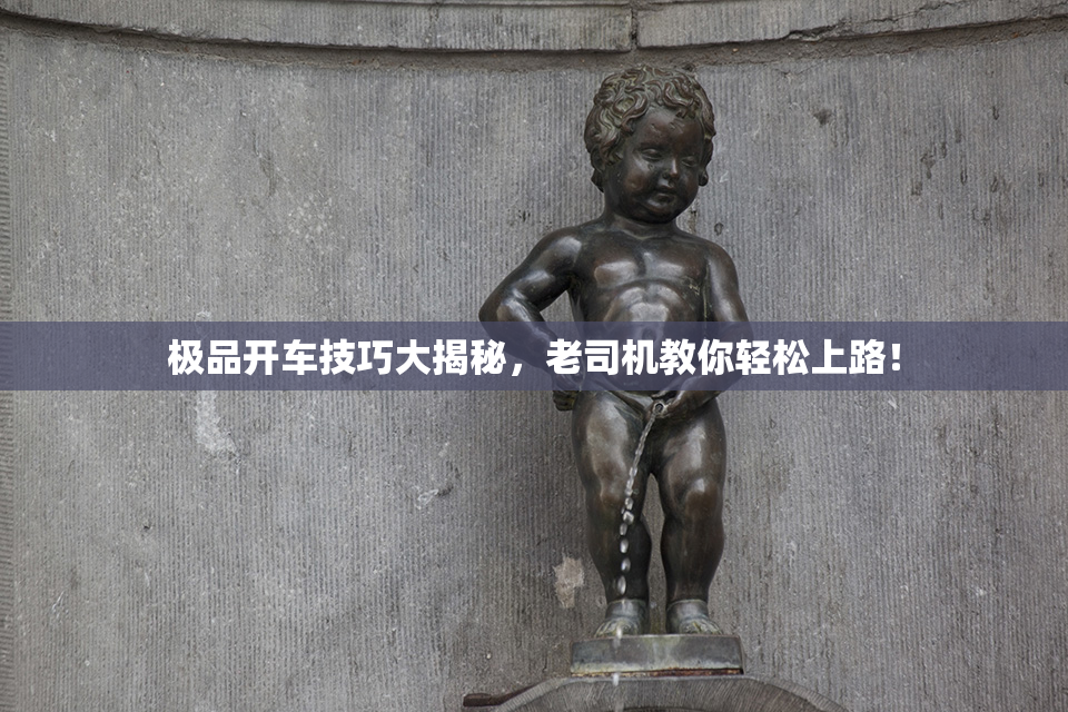 极品开车技巧大揭秘，老司机教你轻松上路！