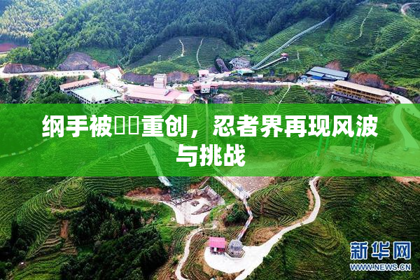 纲手被❌‌重创，忍者界再现风波与挑战