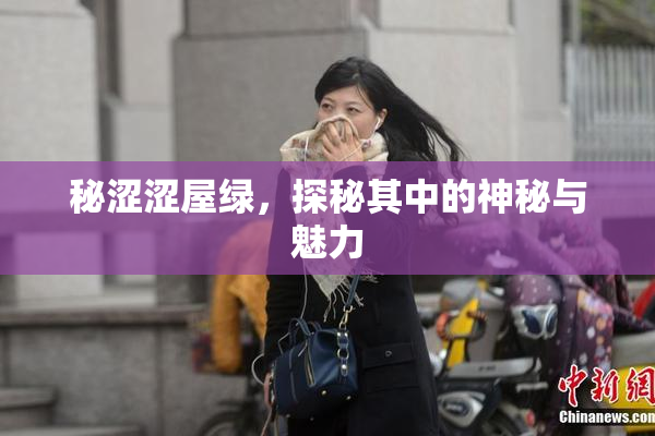 秘涩涩屋绿，探秘其中的神秘与魅力