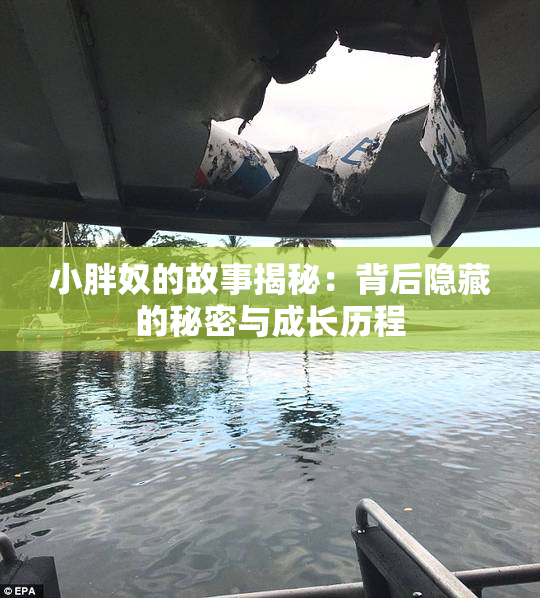小胖奴的故事揭秘：背后隐藏的秘密与成长历程