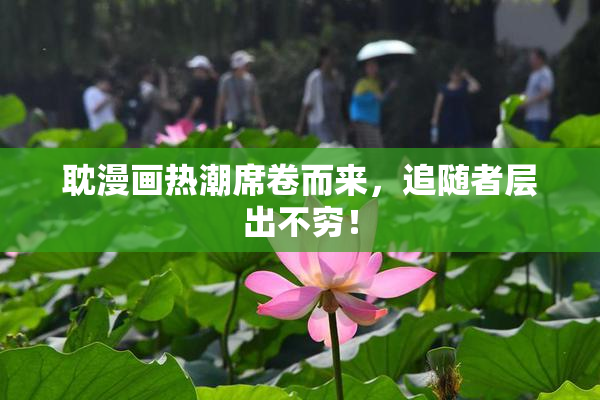 耽漫画热潮席卷而来，追随者层出不穷！