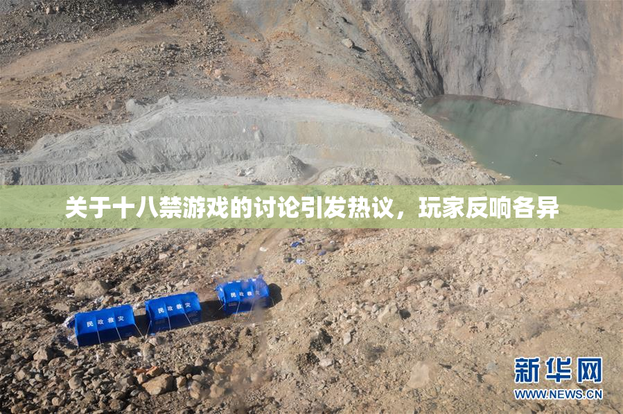 关于十八禁游戏的讨论引发热议，玩家反响各异