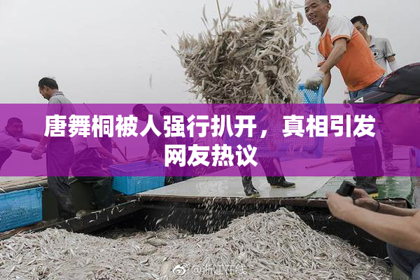 唐舞桐被人强行扒开，真相引发网友热议