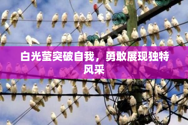 白光莹突破自我，勇敢展现独特风采