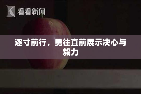 逐寸前行，勇往直前展示决心与毅力