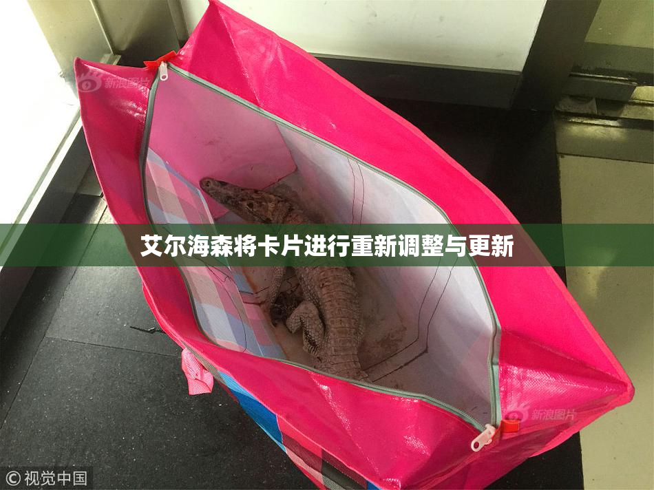 艾尔海森将卡片进行重新调整与更新