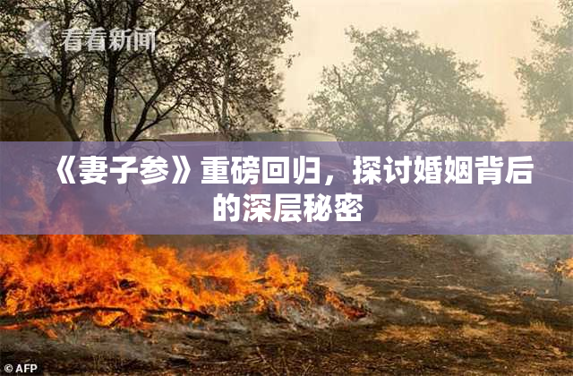 《妻子参》重磅回归，探讨婚姻背后的深层秘密