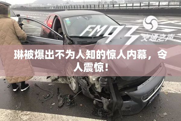 琳被爆出不为人知的惊人内幕，令人震惊！