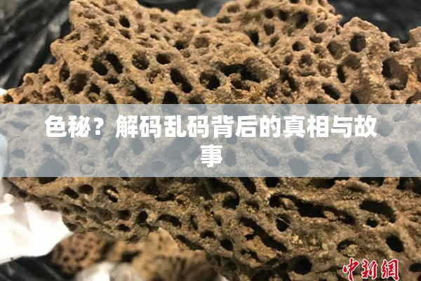 色秘？解码乱码背后的真相与故事