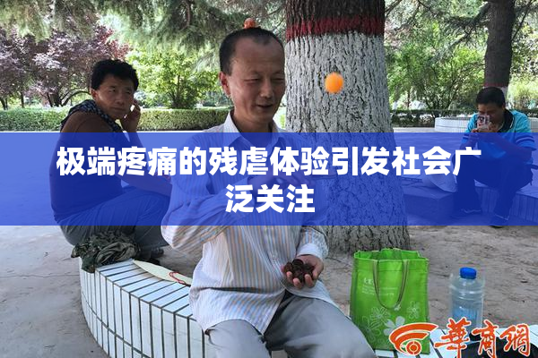 极端疼痛的残虐体验引发社会广泛关注