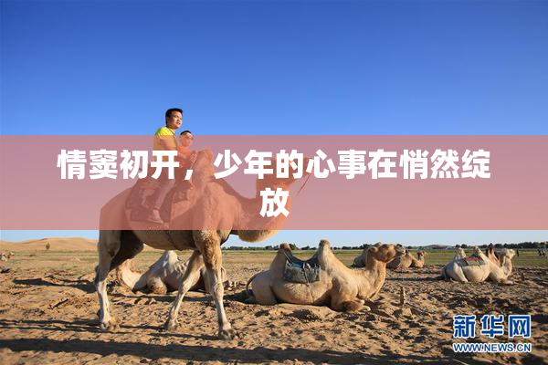 情窦初开，少年的心事在悄然绽放