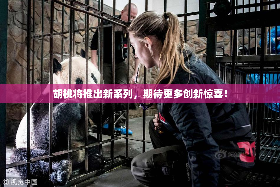 胡桃将推出新系列，期待更多创新惊喜！