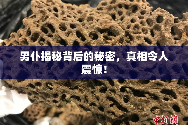 男仆揭秘背后的秘密，真相令人震惊！