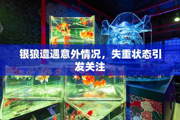 银狼遭遇意外情况，失重状态引发关注