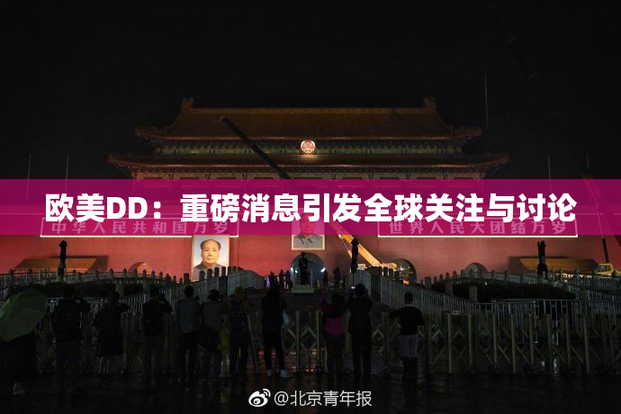欧美DD：重磅消息引发全球关注与讨论