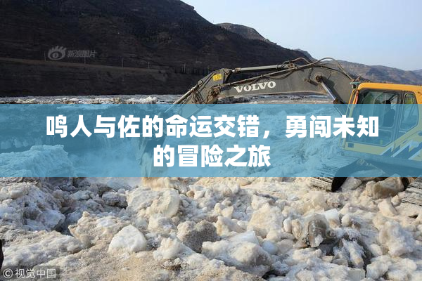 鸣人与佐的命运交错，勇闯未知的冒险之旅