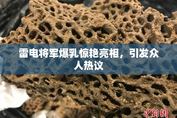 雷电将军爆乳惊艳亮相，引发众人热议