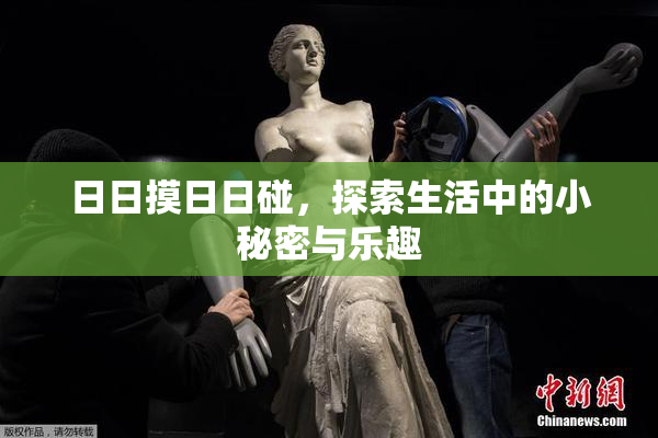日日摸日日碰，探索生活中的小秘密与乐趣