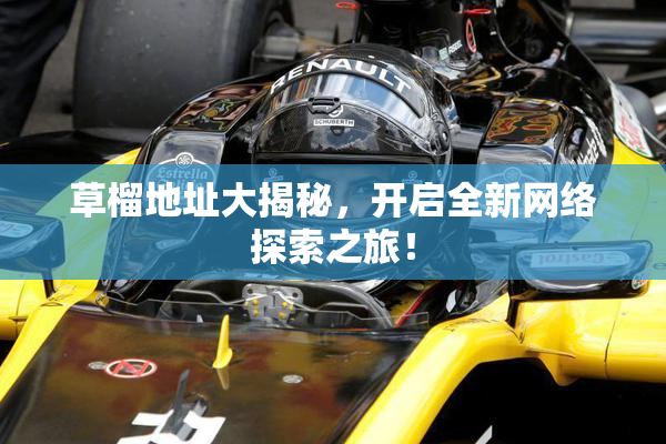 草榴地址大揭秘，开启全新网络探索之旅！