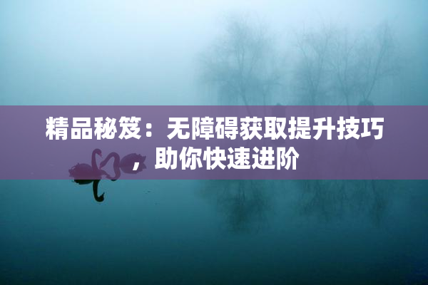 精品秘笈：无障碍获取提升技巧，助你快速进阶