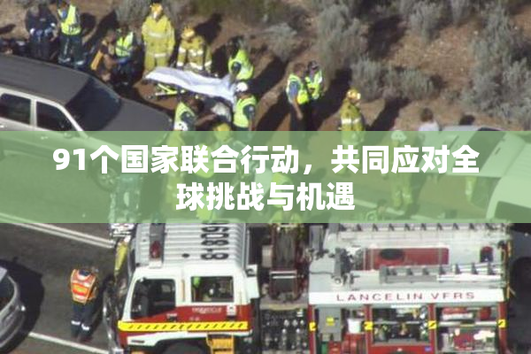 91个国家联合行动，共同应对全球挑战与机遇