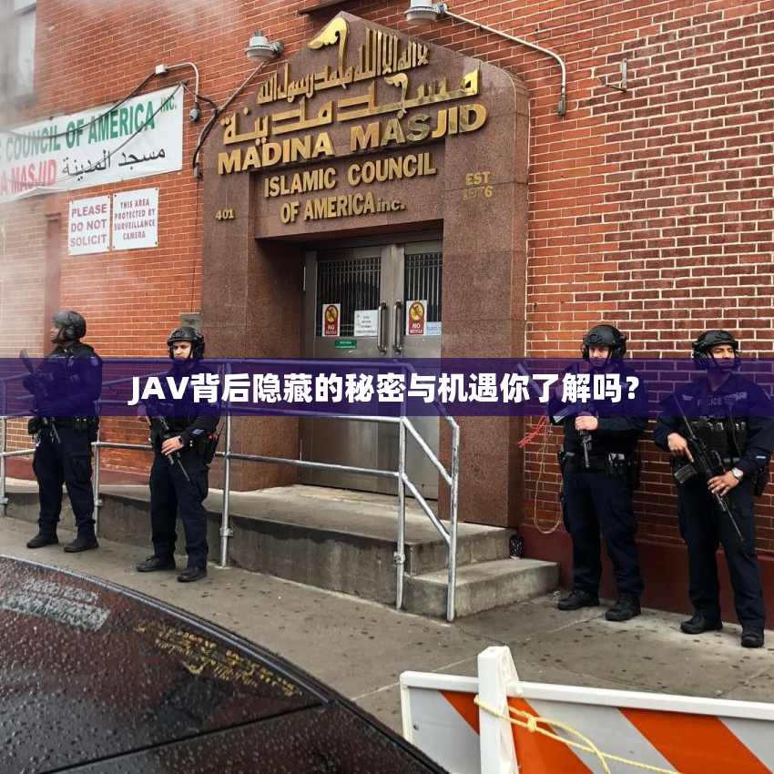 JAV背后隐藏的秘密与机遇你了解吗？