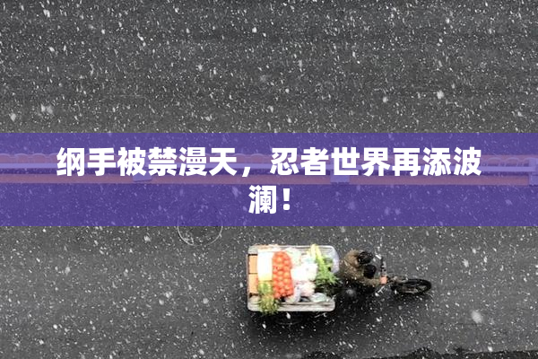 纲手被禁漫天，忍者世界再添波澜！