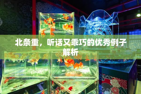 北条重，听话又乖巧的优秀例子解析