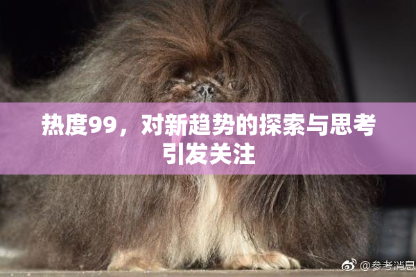 热度99，对新趋势的探索与思考引发关注