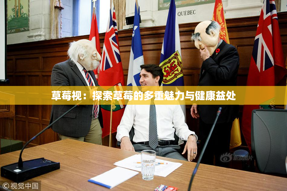 草莓视：探索草莓的多重魅力与健康益处