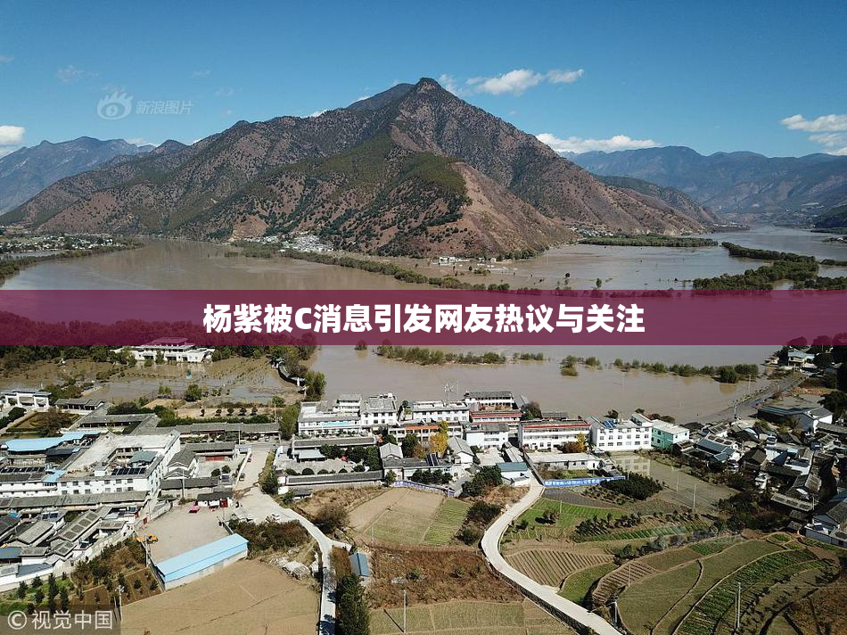 杨紫被C消息引发网友热议与关注