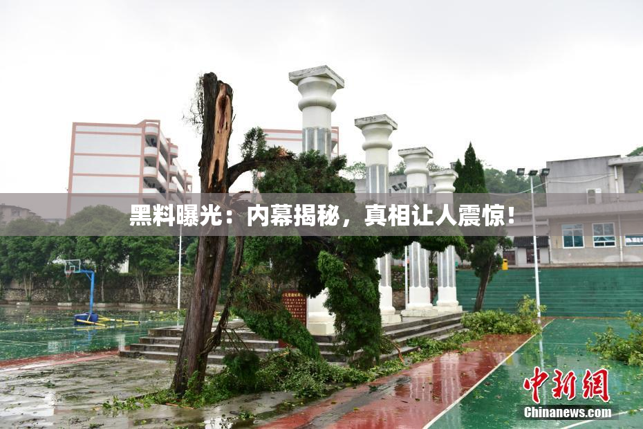 黑料曝光：内幕揭秘，真相让人震惊！