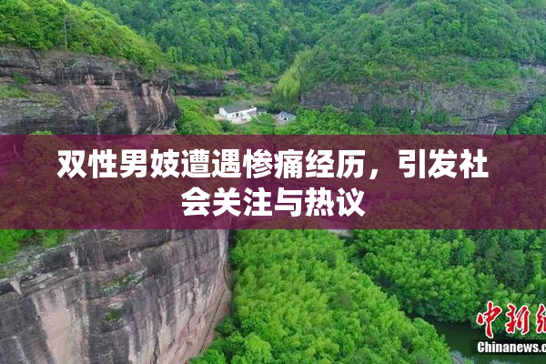 双性男妓遭遇惨痛经历，引发社会关注与热议