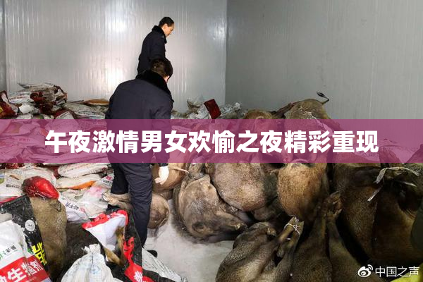 午夜激情男女欢愉之夜精彩重现