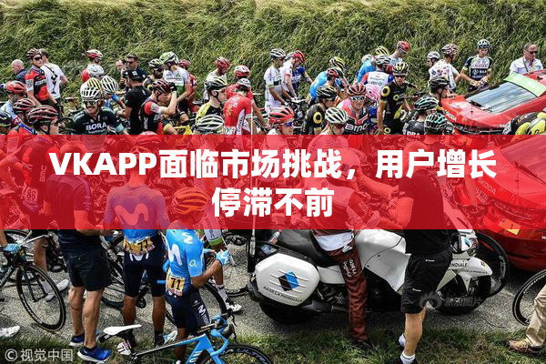 VKAPP面临市场挑战，用户增长停滞不前