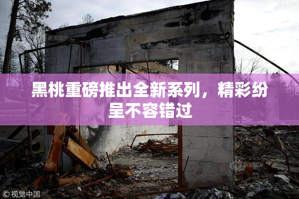 黑桃重磅推出全新系列，精彩纷呈不容错过