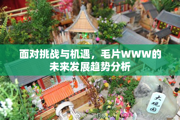 面对挑战与机遇，毛片WWW的未来发展趋势分析
