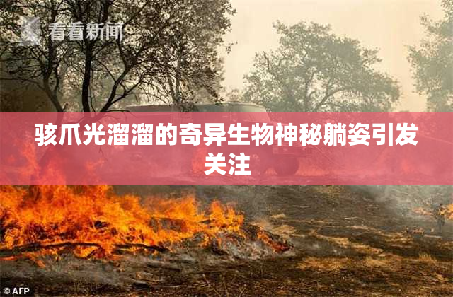 骇爪光溜溜的奇异生物神秘躺姿引发关注