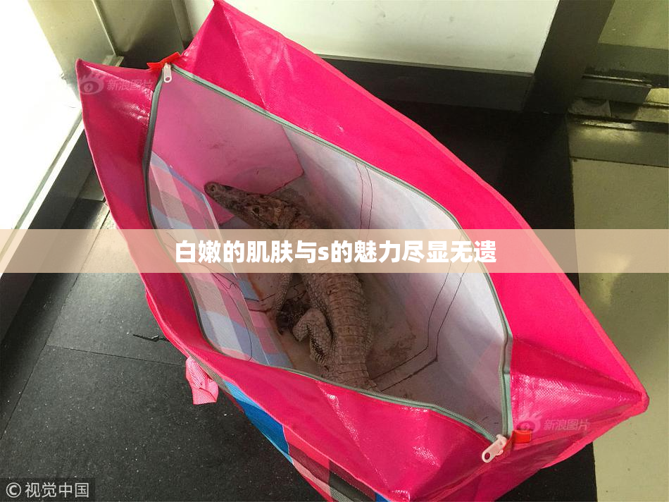 白嫩的肌肤与s的魅力尽显无遗