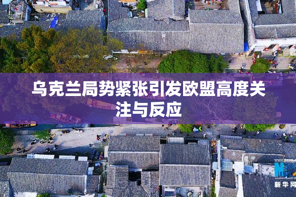 乌克兰局势紧张引发欧盟高度关注与反应