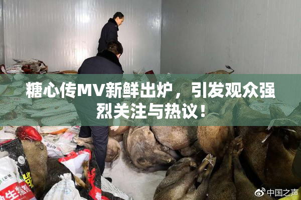 糖心传MV新鲜出炉，引发观众强烈关注与热议！
