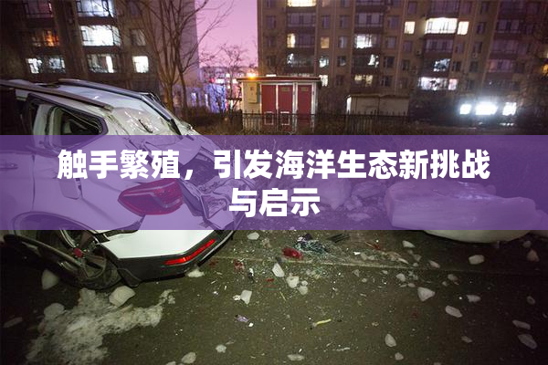 触手繁殖，引发海洋生态新挑战与启示