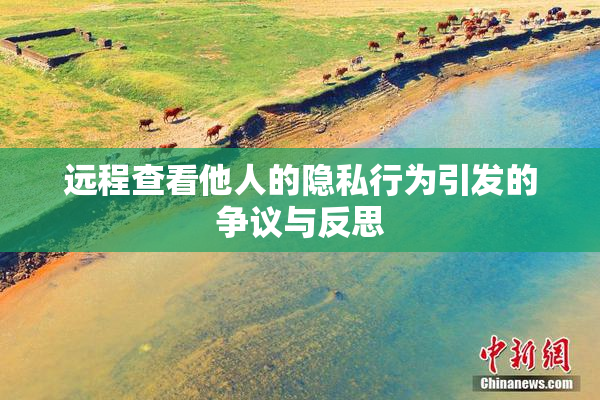 远程查看他人的隐私行为引发的争议与反思
